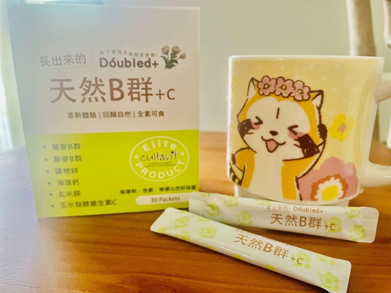 試用